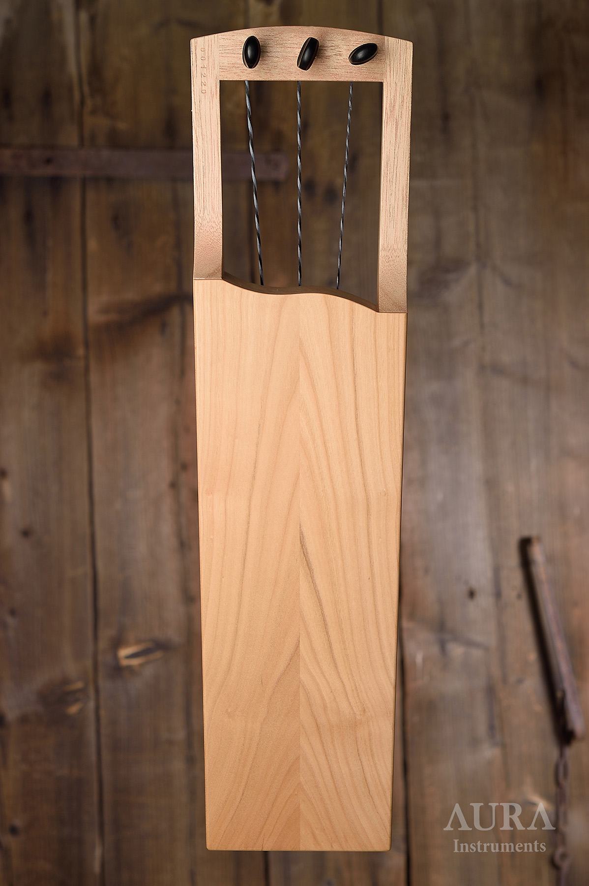 Tagelharp Aura 3 SMALL detail 1